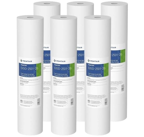 Pentair Pentek DGD (6 Count)
