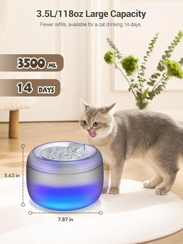 3.5L Cat Water Fountain