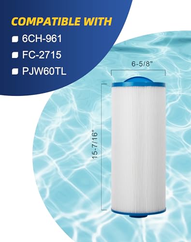 Spa Filter Replaces PAS