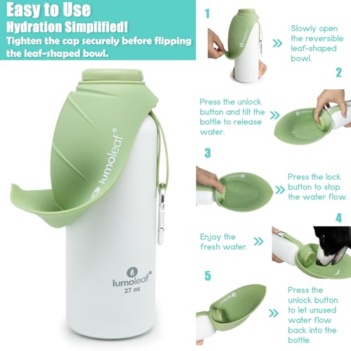 Insulated Dog Water Bottle 27 oz Stainless Steel