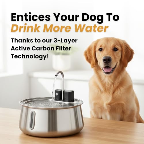 Wireless Dog Water Fountain