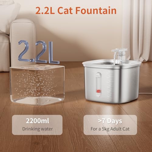 Cat Water Fountain