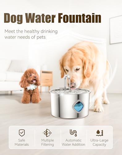 Dog Bowl for Small Dogs