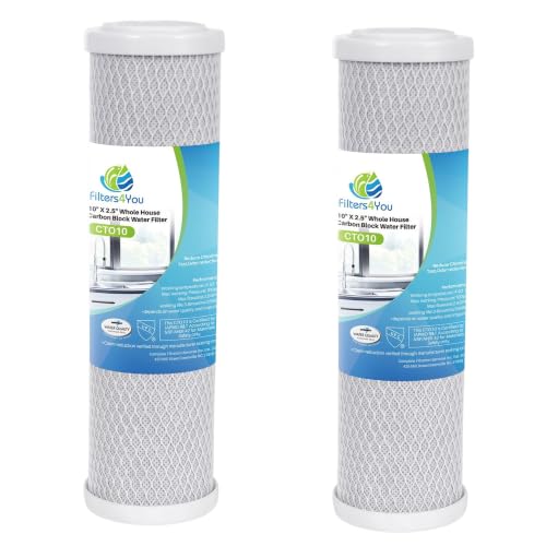 Carbon Block Filters Compatible with Flow (2 Count)