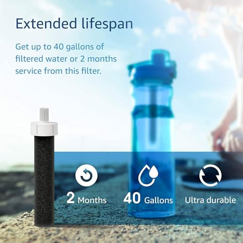 Water Bottle Filter Replacement for Brita® BB06 (10 Count)