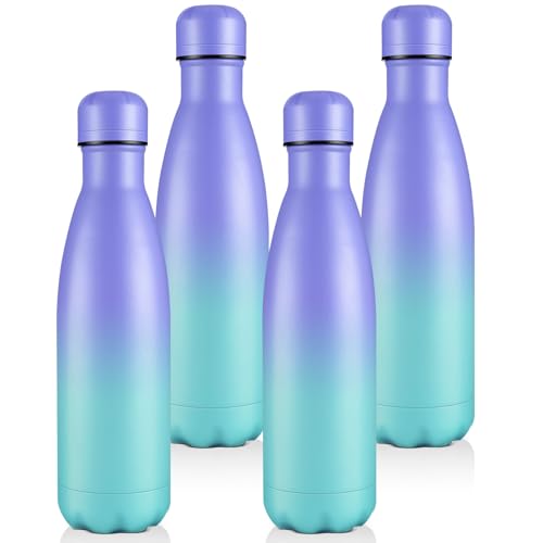 17oz Insulated Water Bottles MultiPack (4 Count)