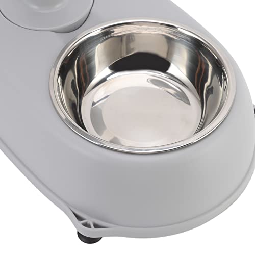 2 in 1 Pet Standing Water Dispenser