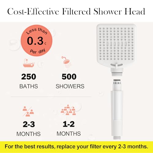Filtered Shower Head with Handheld