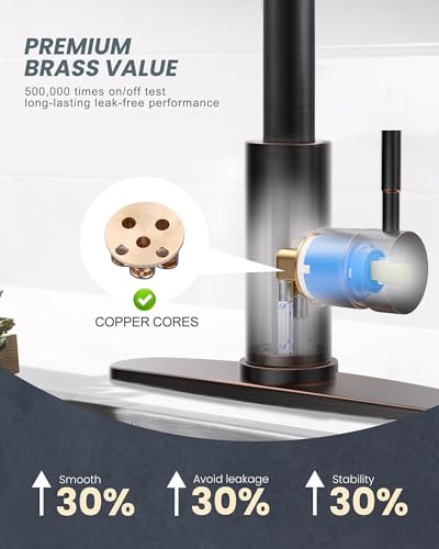 Oil Rubbed Bronze Kitchen Faucet with Soap Dispenser