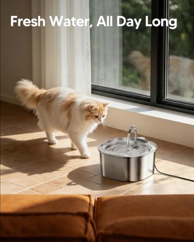 Cat Water Fountain
