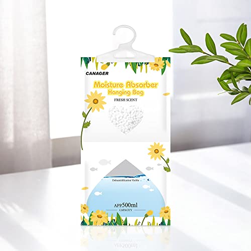 Moisture Absorber (12 Count)