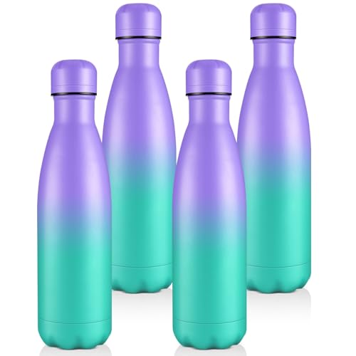 17oz Insulated Water Bottles MultiPack (4 Count)