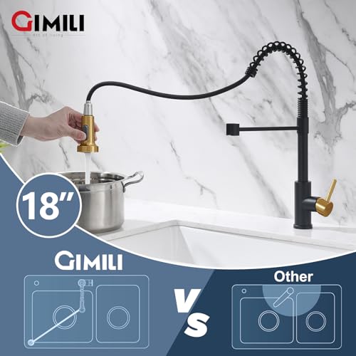 Kitchen Faucet with Pull Down Sprayer Black and Gold