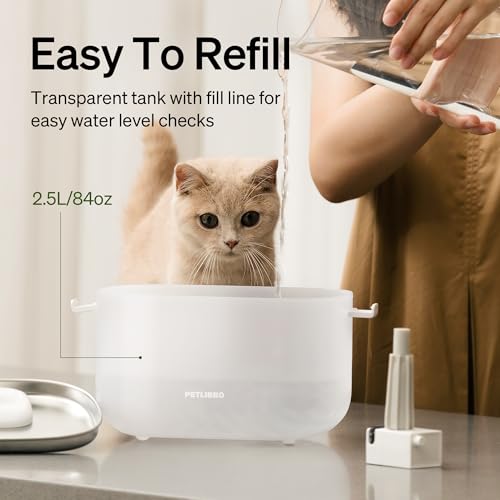 Cat Water Fountain