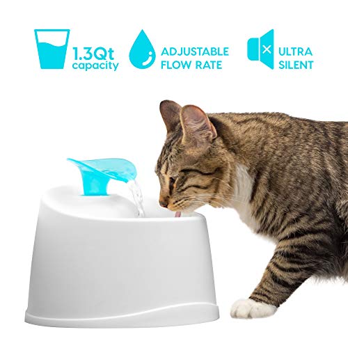 Cat Water Fountain
