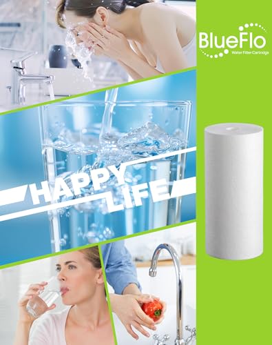10" x 4.5" Whole House Sediment Water Filter (2 Count)