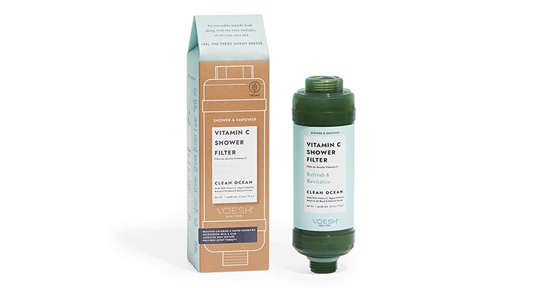 Vitamin C Shower Filter (2 Count)