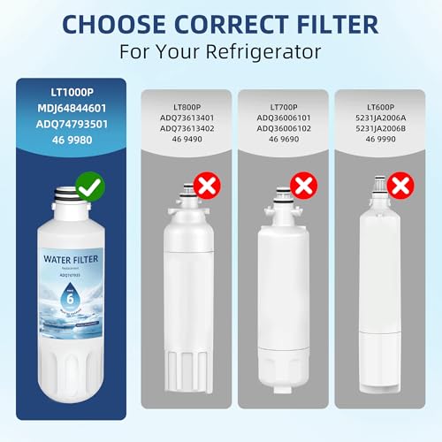 LT1000P ADQ747935 Water Filter 6 (2 Count)