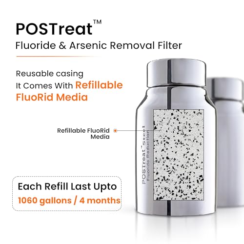 POSTreat Steel Fluoride Reduction Filter Cartridge Set of 2 (2 Count)