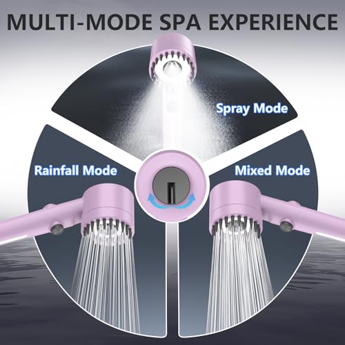Filtered Shower Head with Handheld