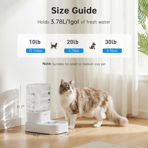 Automatic Cat Water Dispenser with 1 Filter Gravity Water Bowl for Dogs (980 Gram)