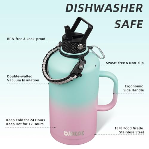 87oz Insulated Water Bottle with Straw Lid Stainless Steel Water Jug