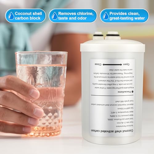 1 Pack Premium Filter Replacement Compatible with HG