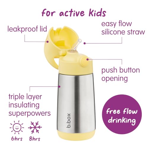 Insulated Water Bottle for Kids