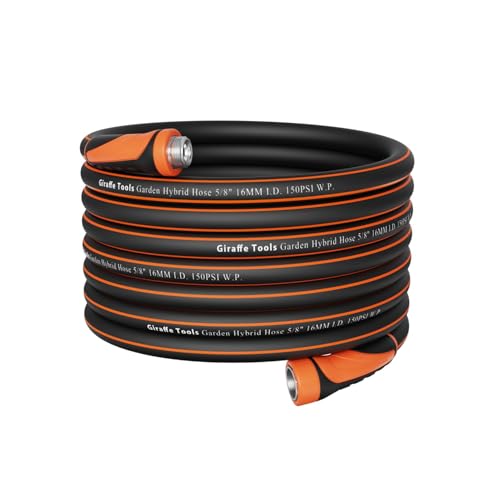 Garden Hose 5 (100 Foot)