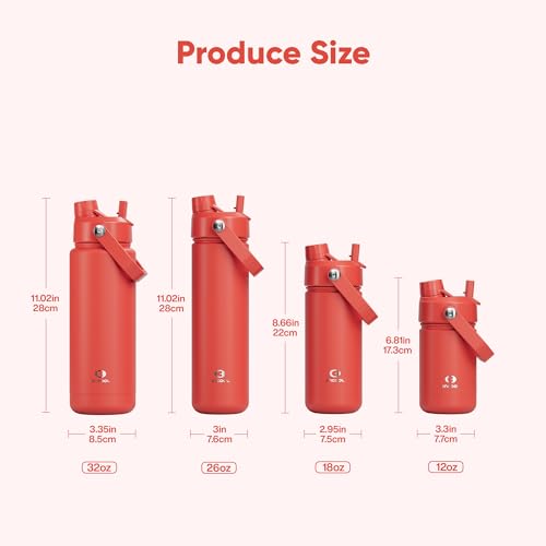 Kids Insulated Water Bottle with Straw