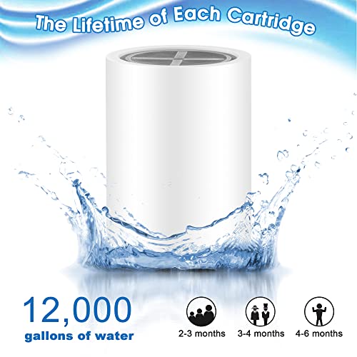 6 Pack 20 Stage Shower Filter Replacement Cartridge (6 Count)