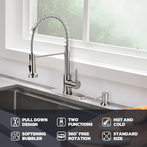 Kitchen Faucet with Soap Dispenser