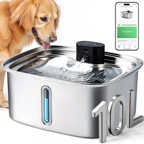 Smart Dog Water Bowl Dispenser Large