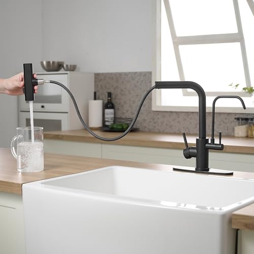 Black Kitchen Faucets with Water Filter and Pull Down Sprayer