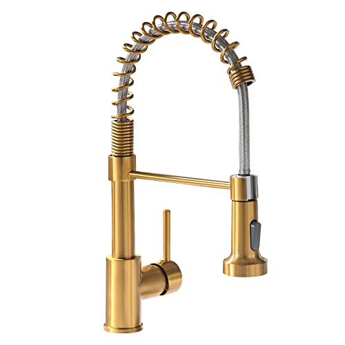 Kitchen Faucet with Pull Down Sprayer Brushed Gold