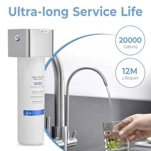 3 in 1 Kitchen Faucet with Water Filter and Pull Down Sprayer