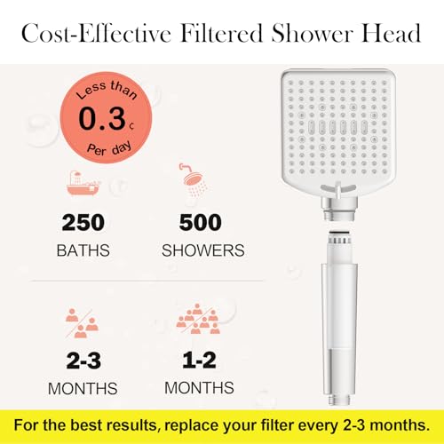 Filtered Shower Head with Handheld