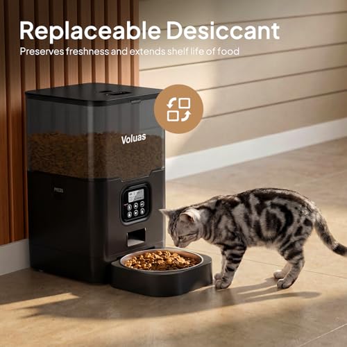 Automatic Cat Feeder
