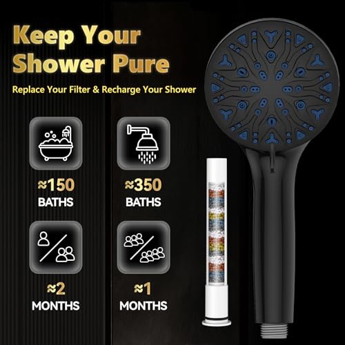High Pressure Filtered Shower Head with Handheld