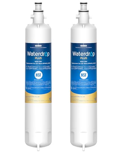 Plus WDP F19C Water Filter Replacement for GE® RPWFE® (2 Count)
