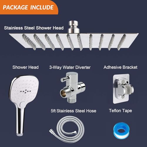 Shower Head with Hose