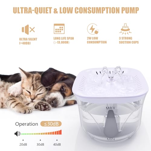 Cat Water Fountain