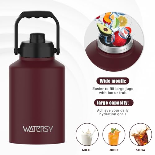 1 Gallon Water Bottle Insulated