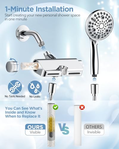Filtered Shower Head with Handheld Combo