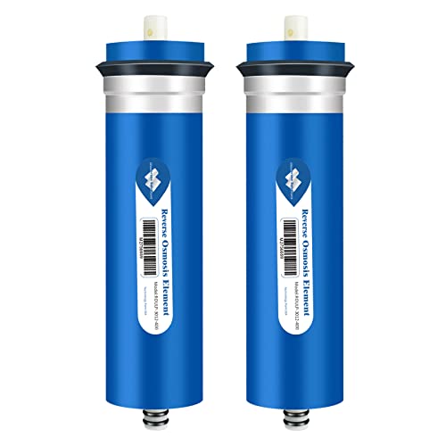 400 GPD Reverse Osmosis Membrane (2 Count)