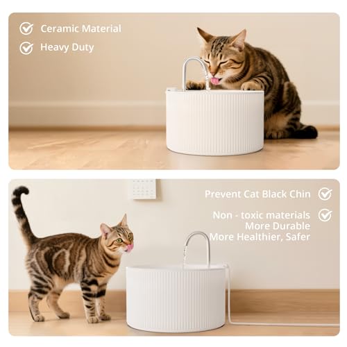 Ceramic Pet Water Fountain