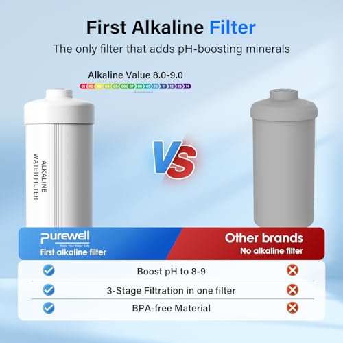 PH-2 White 3-Stage Alkaline Filter Elements, Additional filters for Berlkey® Black Activated Carbon Filters, Berlkey® and Purewell Gravity Filtration Water System, pH 8-9 (2 Pack, K Series) (2 Count)
