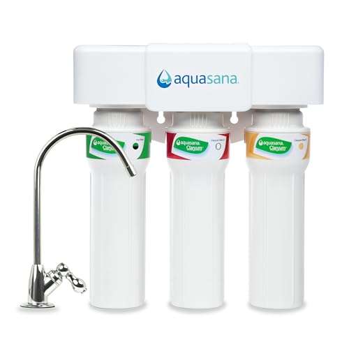 Under Sink Water Filter System