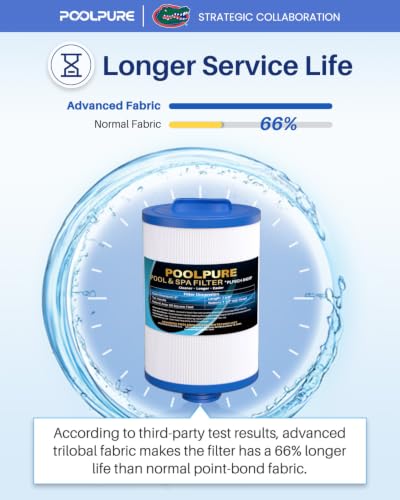 6CH 940RP Removable Handle Spa Filter