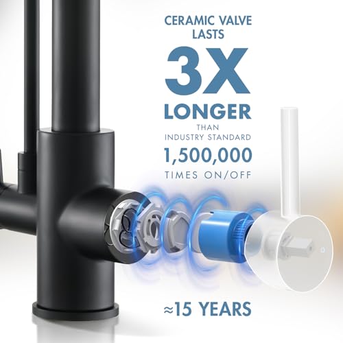 3 in 1 Kitchen Faucet with Water Filter and Pull Down Sprayer